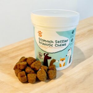 Stomach Settler Probiotic Chews & Powder